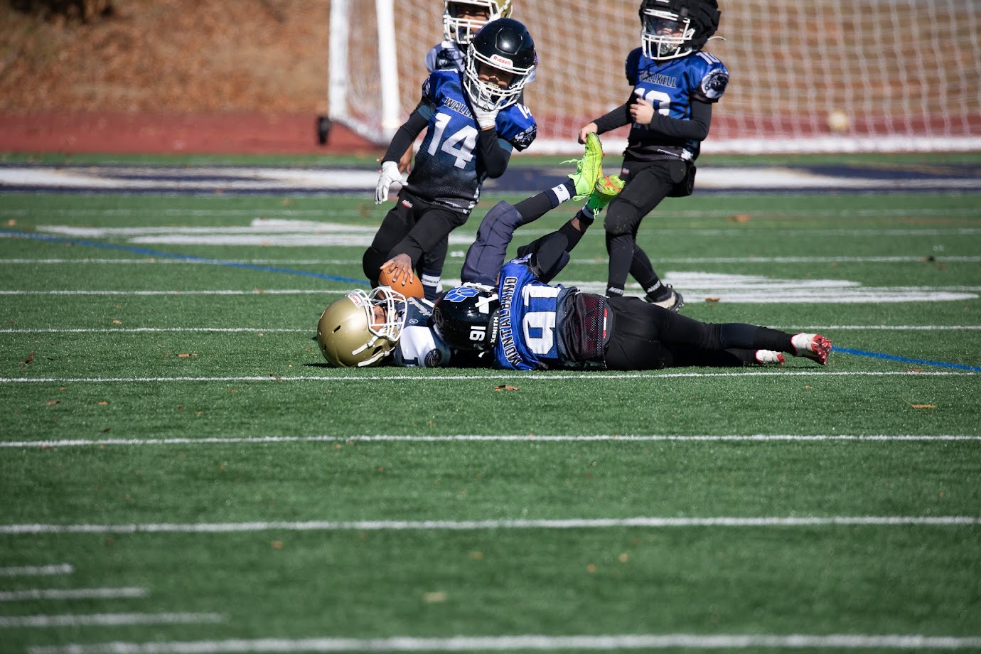 wallkill d1